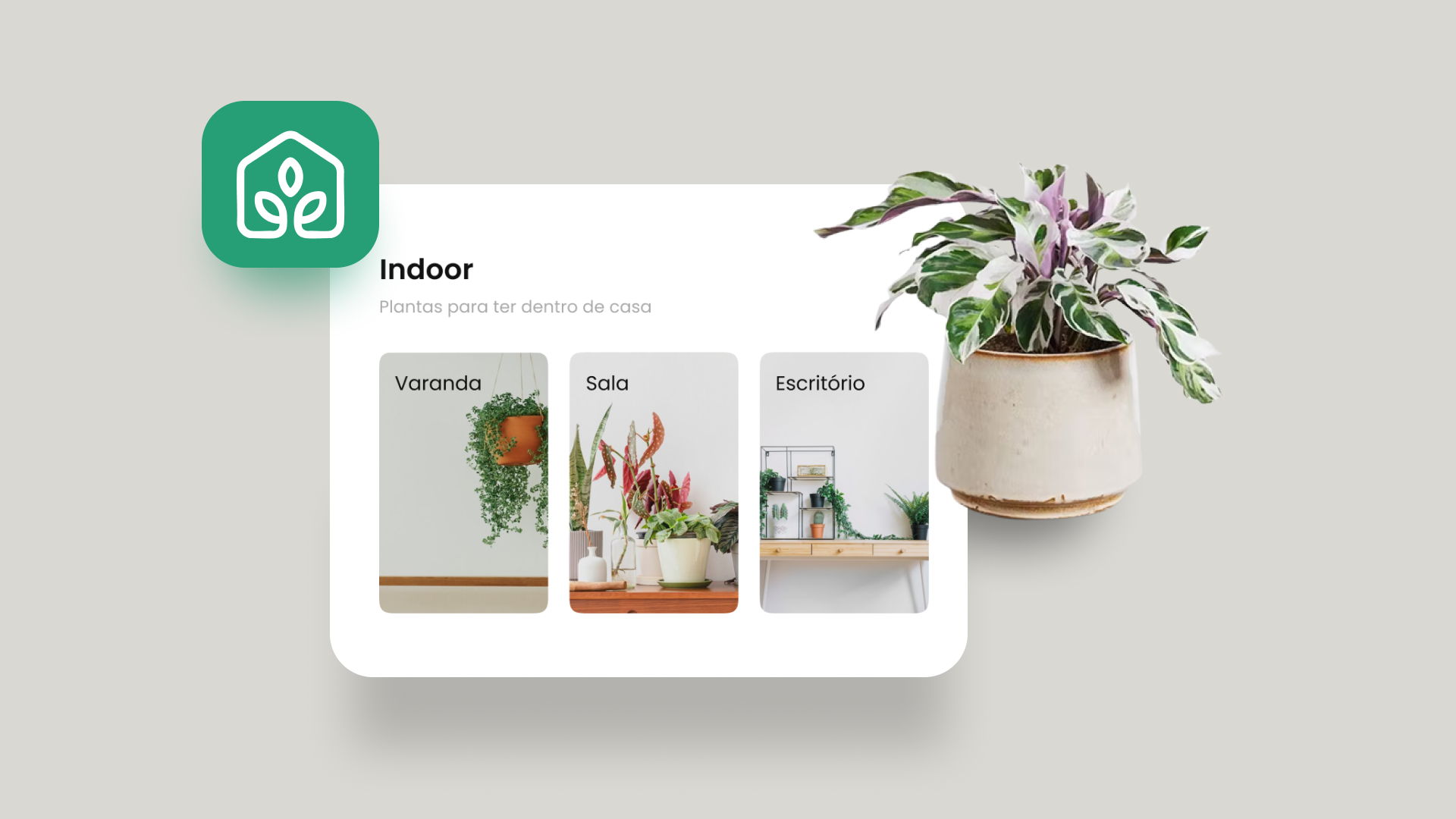 Florashop Preview